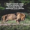 carlitos2329